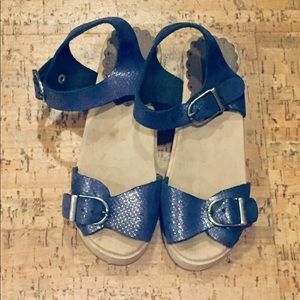 Hanna Andersson size 29 blue sparkly clogs.